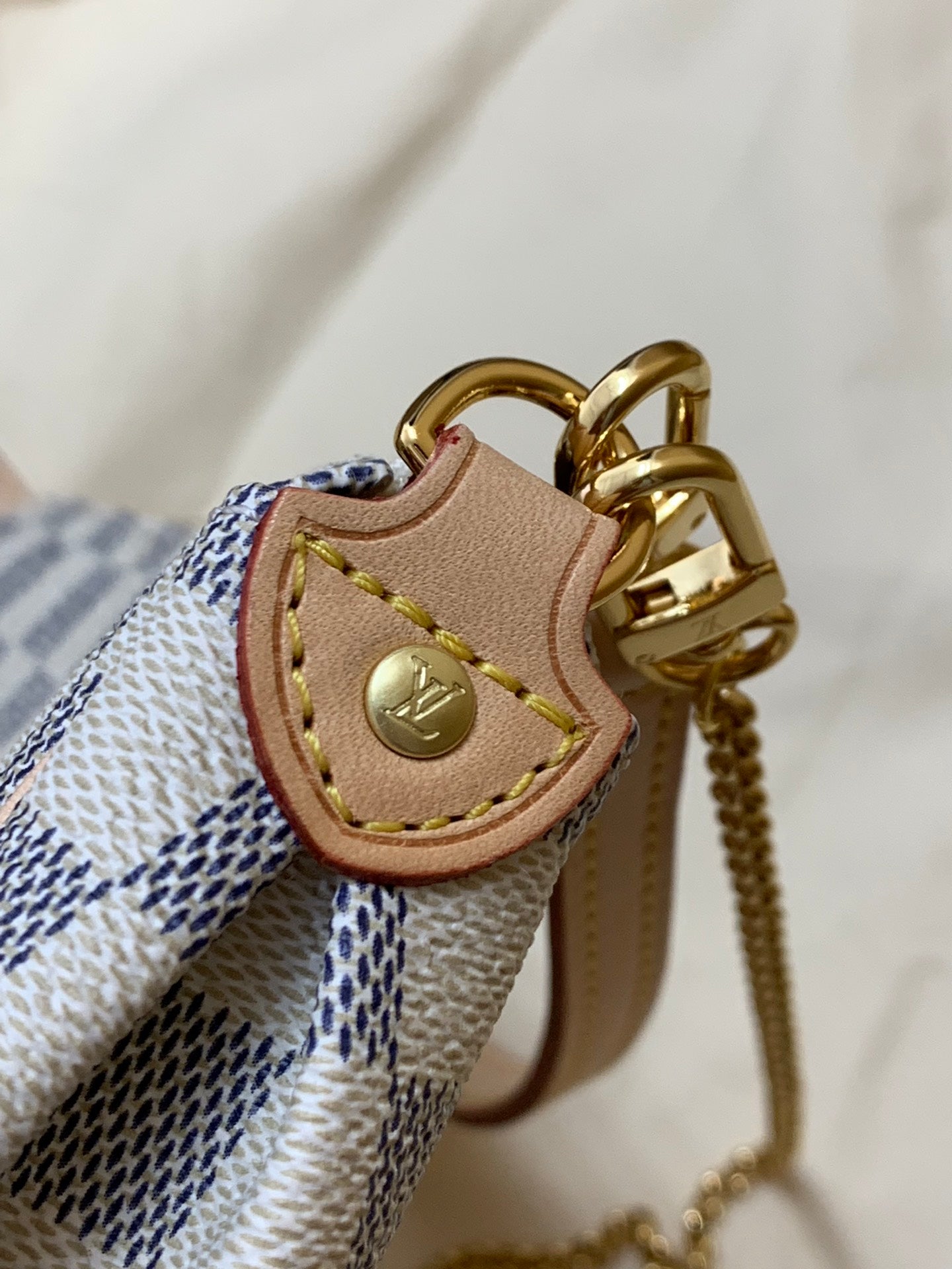 LV Blue Monogram Mini Shoulder Bag with Gold Plate – Compact and Chic